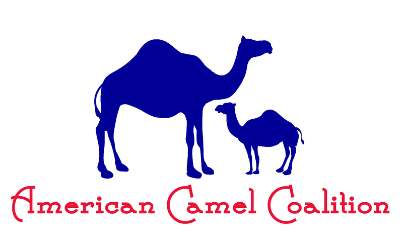 File:CamelCoalition.png