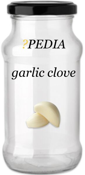 File:?pedia garlic clove.jpeg