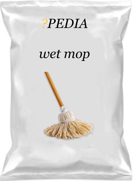 File:?pedia wet mop.jpeg