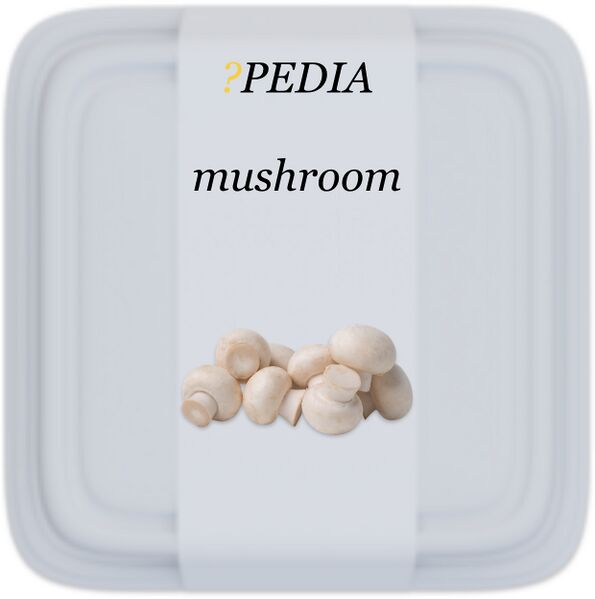 File:?pedia mushroom.jpeg