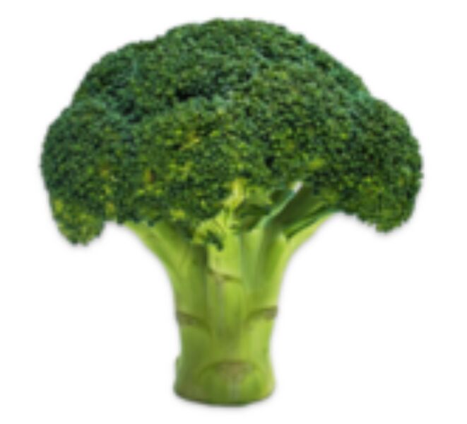 File:Broccoli.jpeg