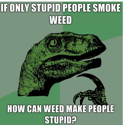 Weed stupid.png