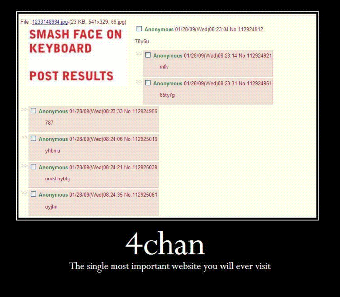 File:4chan important.gif
