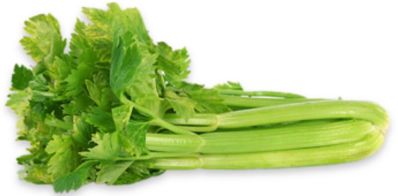 File:Celery.jpeg