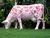Pink cow.jpg