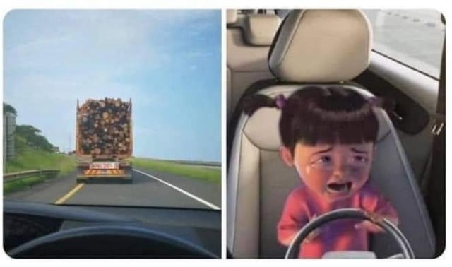 Archivo:Destino final tronco.jpg