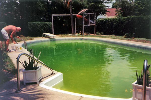 Archivo:Green pool.jpg
