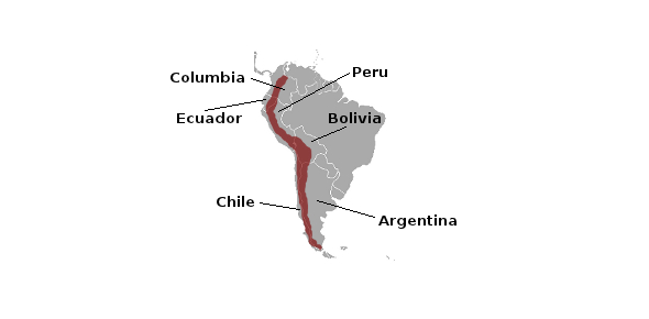 Archivo:Countries are covered by the Andes mountains.jpg
