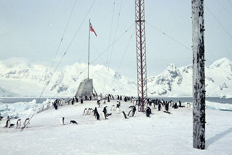 Archivo:Pinguinos saludan la bandera chilena.JPG