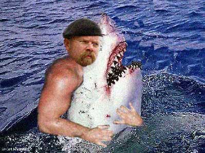 Archivo:Jamie VS tiburon.jpg