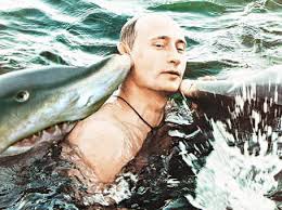 Archivo:Putin Shark.jpg