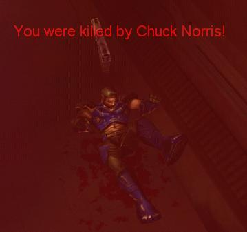 Archivo:You kill by Chuck Norris.JPG