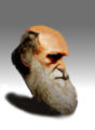Archivo:Darwin.jpg