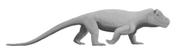 Este tipo gracioso era un Anteosaurus.