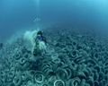 Buceo sobre los corales de neumáticos