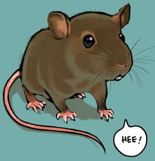 Rata roedora (que roe)