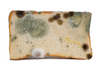 Pan con moho.png