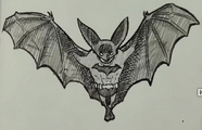 Bati-murciélago, Wayne Bruce, un millonario murciélago que vio fallecer a sus padres a manos de un halcón y juró venganza. Inspirado por un murciélago, combate el crimen en las cuevas del Amazonas de la única forma que sabe, comiendo fruta y polinizando flores.
