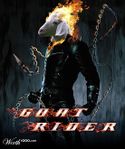 Ghost Rider (película).jpg