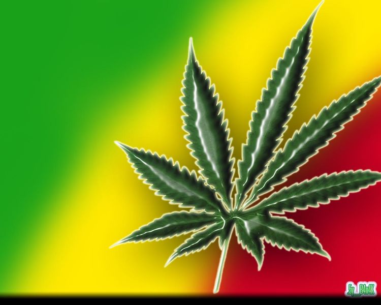 Archivo:Marihuana cannabis.jpg