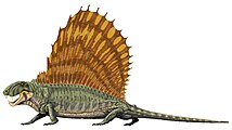 Dimetrodon, el famoso dinosaurio con aleta que no era un dinosaurio y no era una aleta, era una antena wifi arcaica.