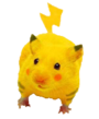 Real-Pikachu.png