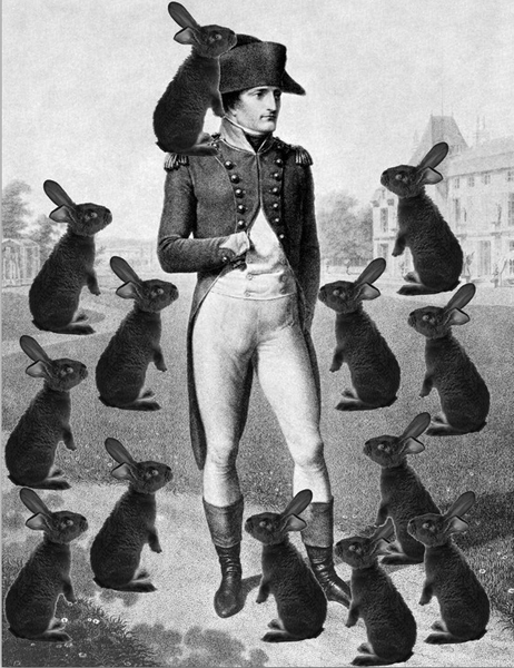 Archivo:Napoleón atacado por Conejos.png