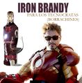 Iron-Brandy para los tecnócratas borrachines. Usuario:Dark delegation/Firma 05:17 18 may 2010 (UTC)