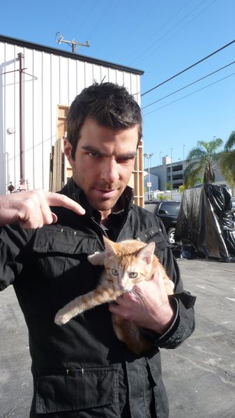 Archivo:11+sylar+and+a+cat.jpg