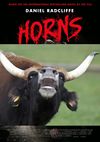 Horns.jpg