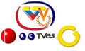 Logo de todo tvV.JPG