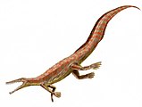 Mesosaurus, lagartijita que se sentía muy peligrosa.