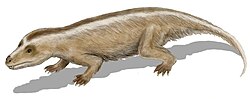 Tritylodon, el abuelo genético de todos los mamíferos y de los raros ornitorrincos.