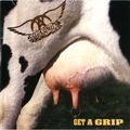Get a grip: (1993) La vaca mascota sexual del grupo.