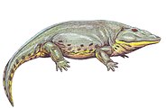 El Eryops era un tipo de rana especialmente fea.