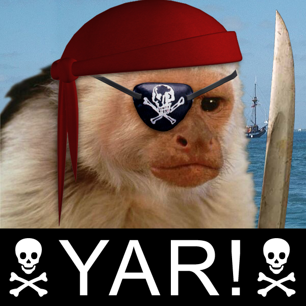 Soubor:Pirate Monkey.png