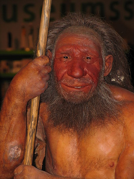 Soubor:Neandertaler reconst.jpg