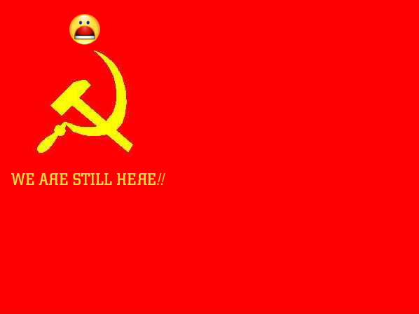 Soubor:Flag New USSR.jpg