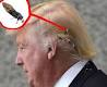 Soubor:Donald Trump a jeho vlasy 3.jpeg