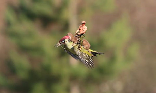 Soubor:Putin-weasel-woodpecker.jpg