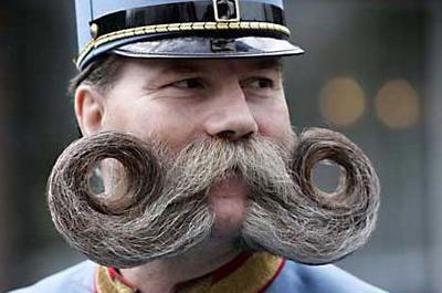 Soubor:Huge mustache.jpg