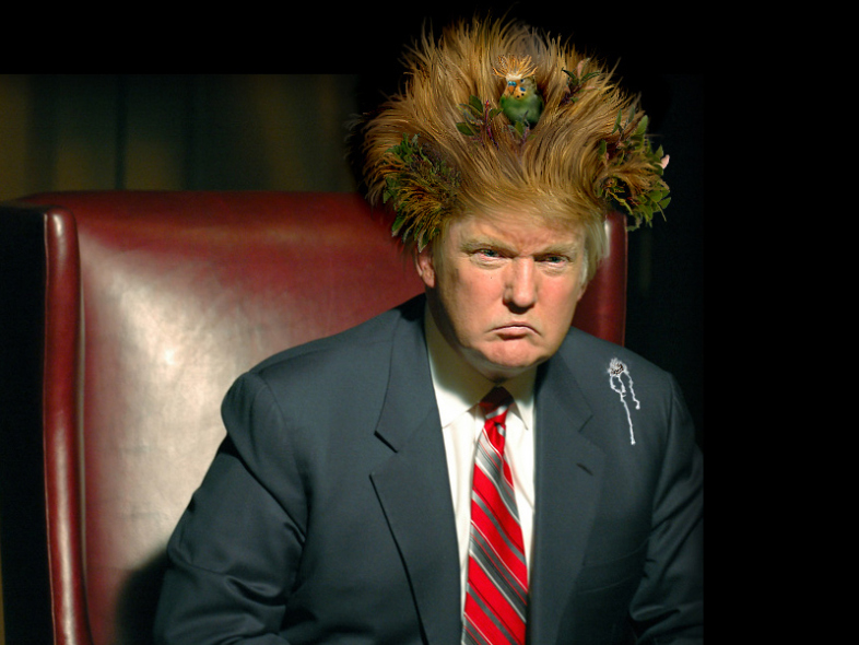 Soubor:Donald Trump a jeho vlasy.jpeg