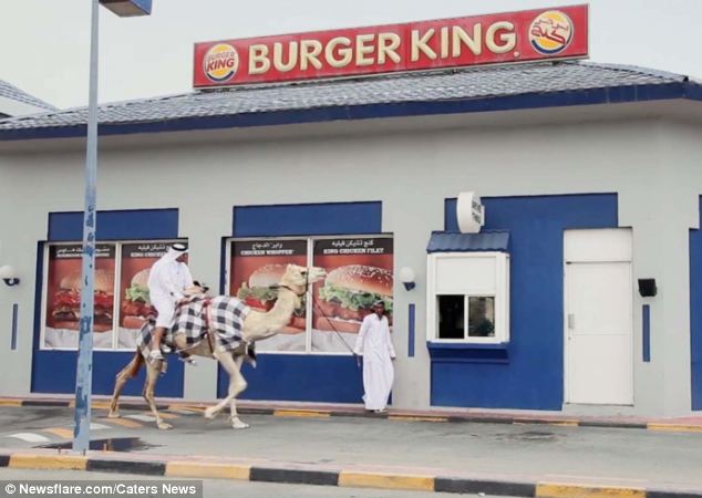 Soubor:Arab velbloud a Burger King.jpg