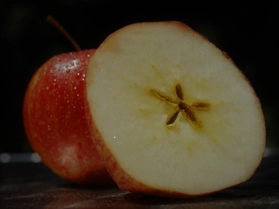 Soubor:Rozkrajování jablíčka.jpg
