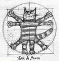 Leonardova Přišpendlená kočka je skutečně mistrovským dílem, které dokazuje kvalitu práce a zručnost malíře. Kresba zobrazuje velice věrně proporce kočičího těla.