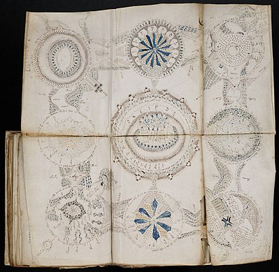 Voynich Manuscript (158).jpg