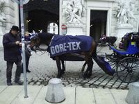 Koňská doprava ve Vídni