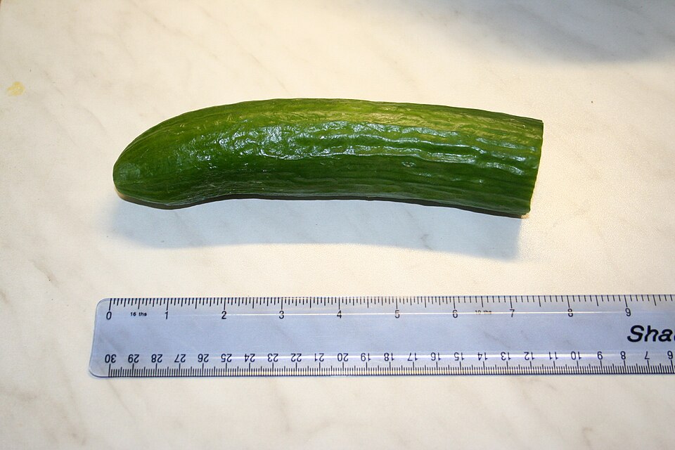 Soubor:A Cucumber (99209794).jpg