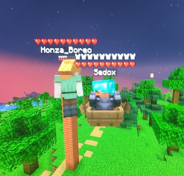 Soubor:Sedox hacker.png