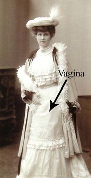 Darstellung der Vagina.jpg